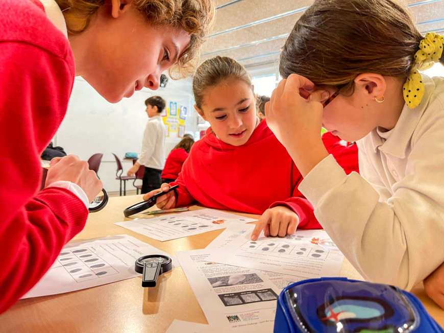 Metoda projektów w szkole