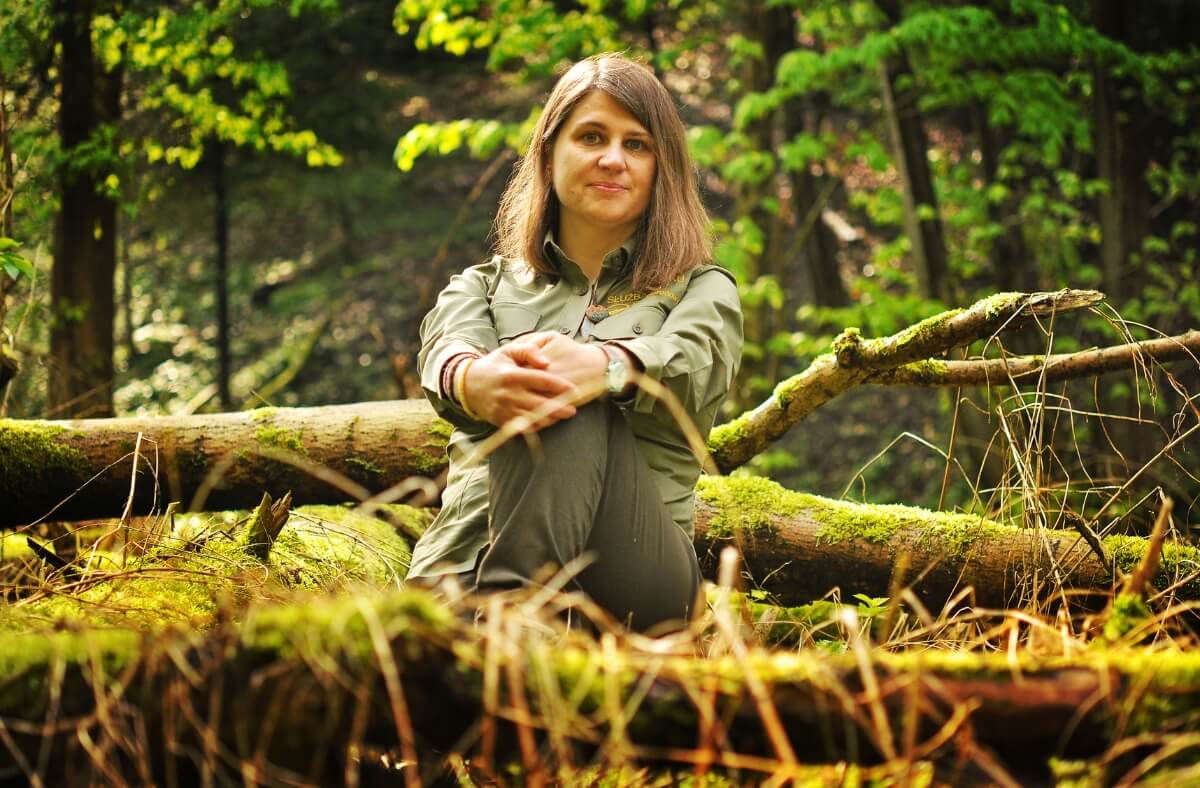 grupa dzieci z nauczycielem obserwuje drzewa na leśnej polanie w Polsce