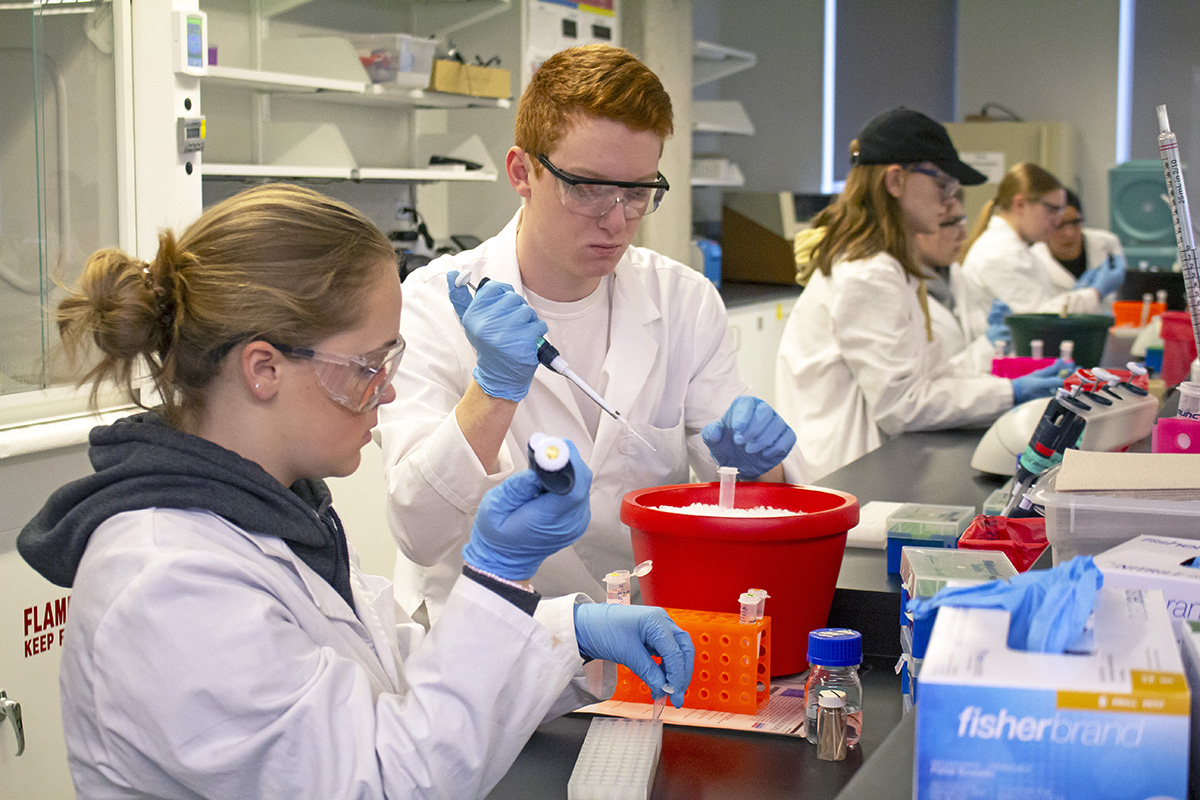 naukowcy i nauczyciele dyskutujący wyniki badań w szkolnej sali konferencyjnej